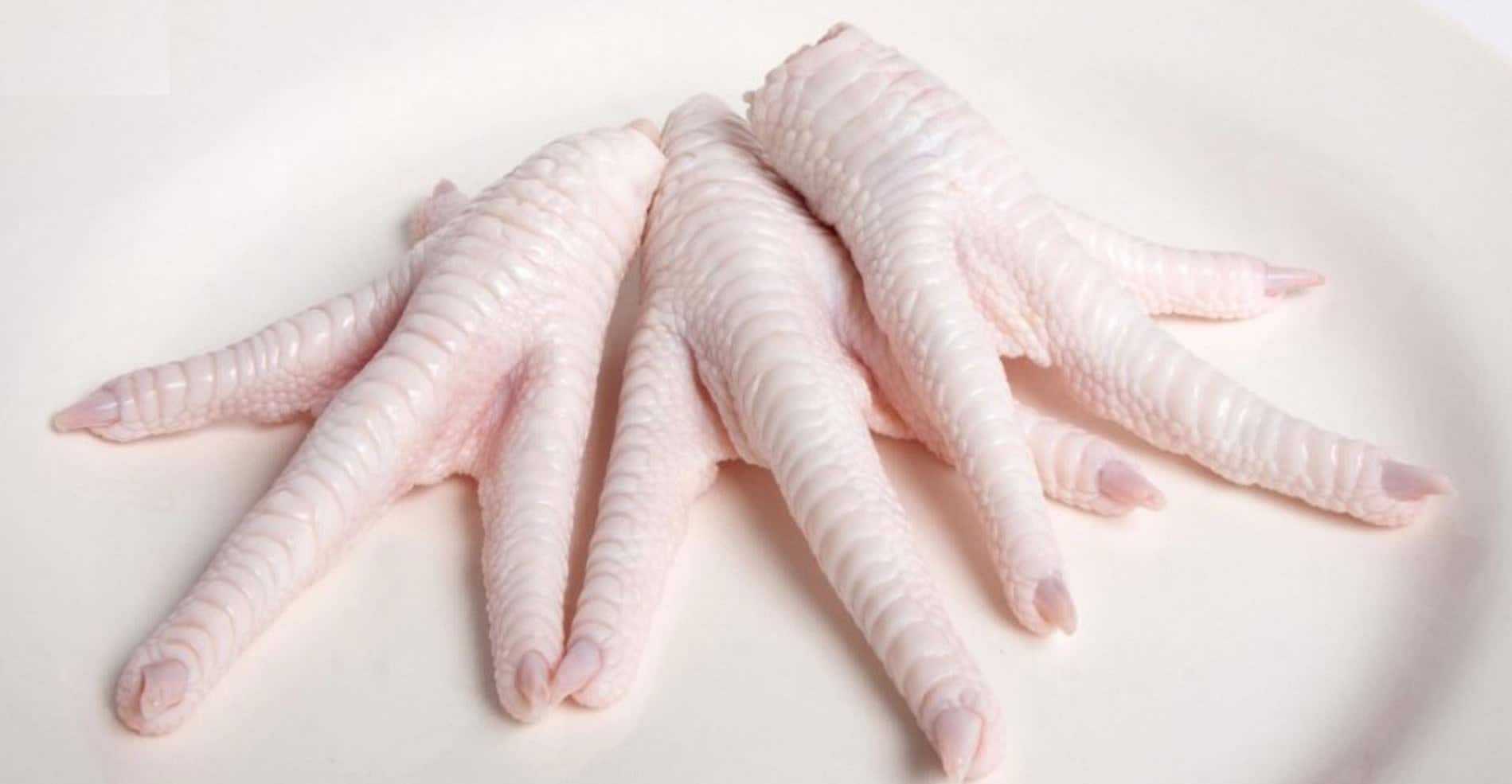 Grade A frozen chicken paws — clean yellow color, export quality