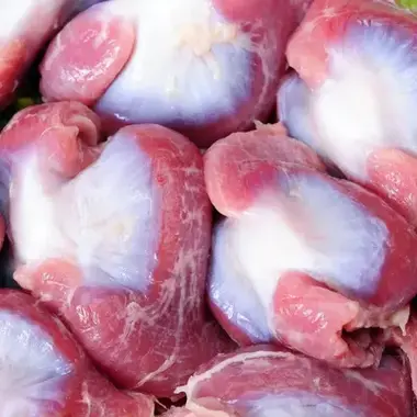Frozen Chicken Gizzards - Premium Brazilian export quality by Marythur Food Exports