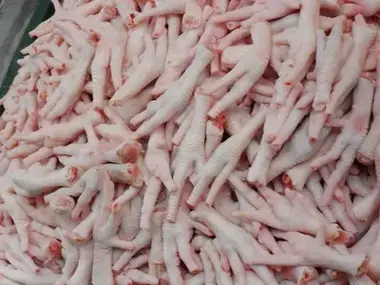 Frozen Chicken Paws from Brazil - Premium export quality by Marythur Food Exports