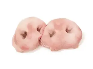 Frozen Pork Snouts from Brazil - Premium export quality by Marythur Food Exports